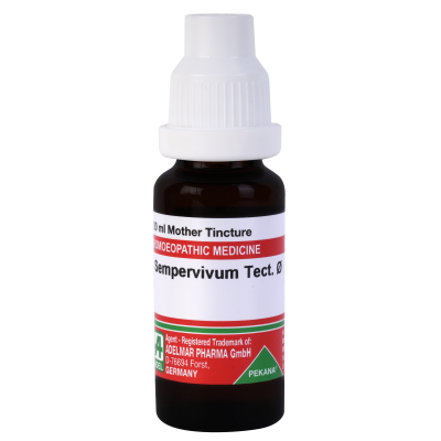 Adel Sempervivum Tectorum 1X (Q) (20 ml)