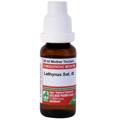 Lathyrus Sativus 1X (Q)