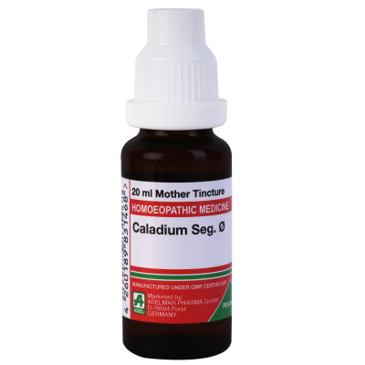 Caladium Seguinum 1X (Q)