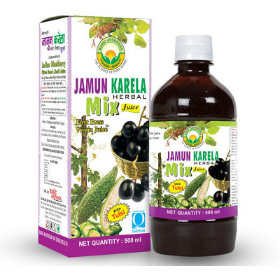 Basic Ayurveda Jamun Karela Mix Juice (450 ml)